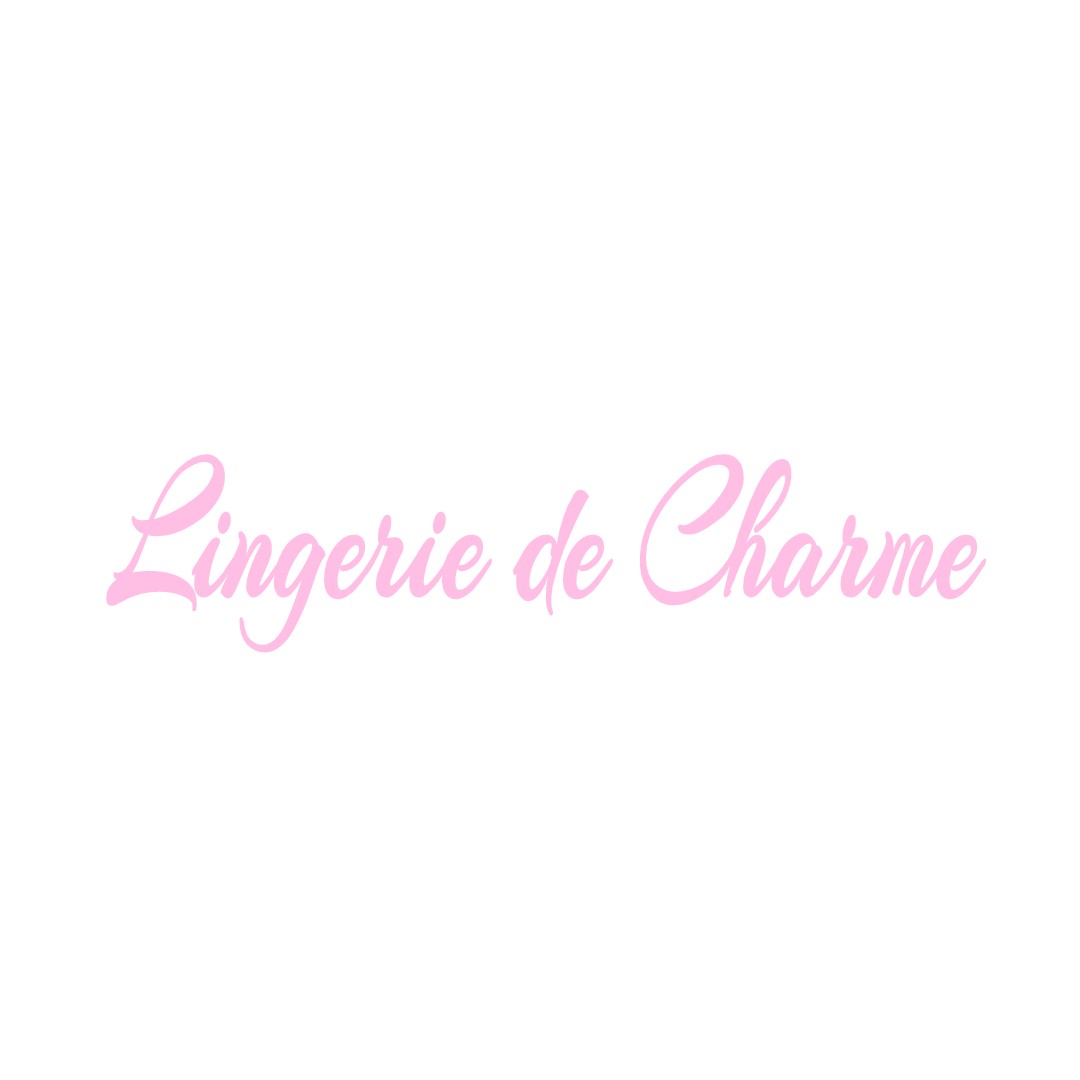 LINGERIE DE CHARME LA-CHAPELLE-SAINT-REMY